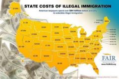 cost of immigration