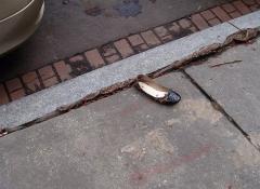 Hillary Clinton - waiting for the last shoe to drop at the curbside