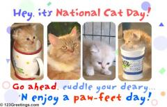 Hey-Its-National-Cat-Day-Go-Ahead-Cuddle-Your-Deary-N-Enjoy-A-Paw-Feet-Day