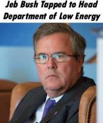 Bush tapped to lead Department of Low Energy