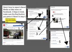 How to report Liberal Media as fake news on Facebook