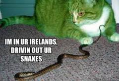 St patty cat drivin out ur snakes