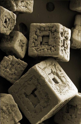 Grains of Salt Under Electron Microscope