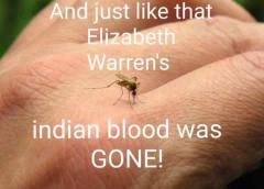 And Just Like THAT Elizabeth Warrens Indian Blood Was GONE