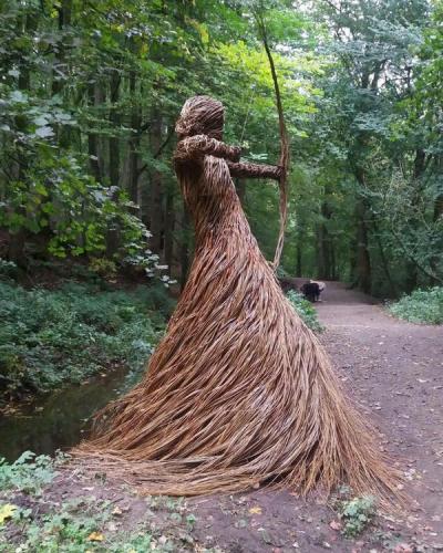 Forest Huntress.  North Yorkshire, UK