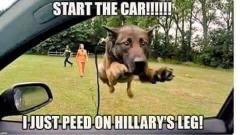 Start the Car - Hillary