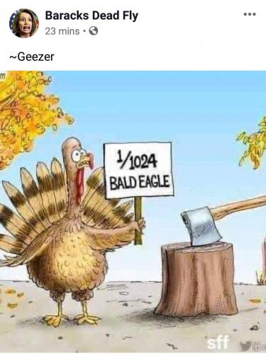 Happy Thanksgiving from the 1 out of 1024th percent bald eagle turkey