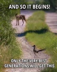 Real life Wylie Coyote and Road Runner  - best generations