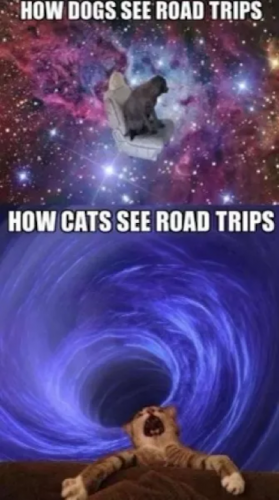 Meme - road trips