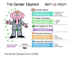 THE GENDER ELEPHANT IN THE CLASSROOM