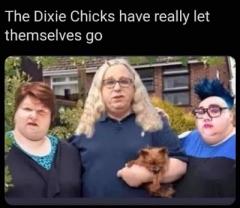 Fat Fake Dixie Chicks