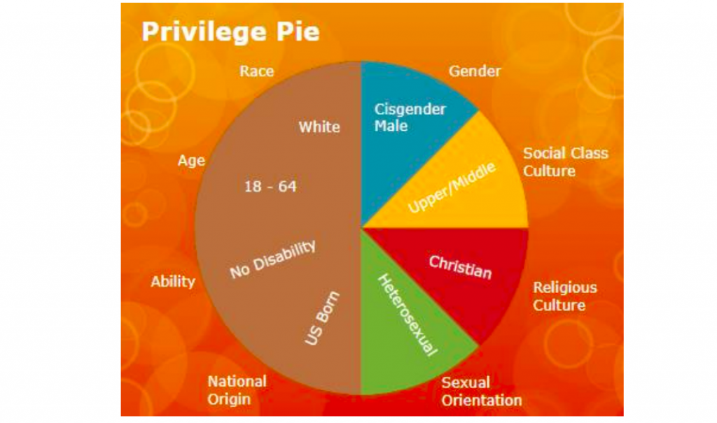 privilege pie