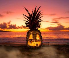 Happy Pineapple Halloween