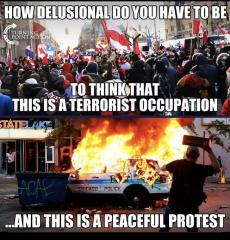 Which one is peacful and which one is terrorist protest