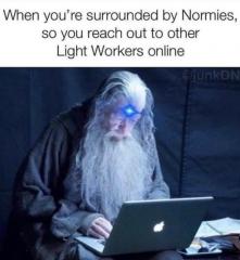 Reach out to other light workers online