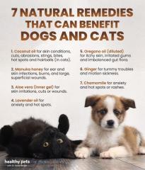 Remedies for Dogs and Cats