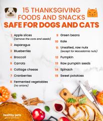 thanksgiving safe foods for pets