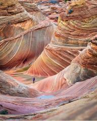 The Wave Coyote Buttes in the Paria Canyon-Vermilion Cliffs Wilderness of the Colorado Plateau