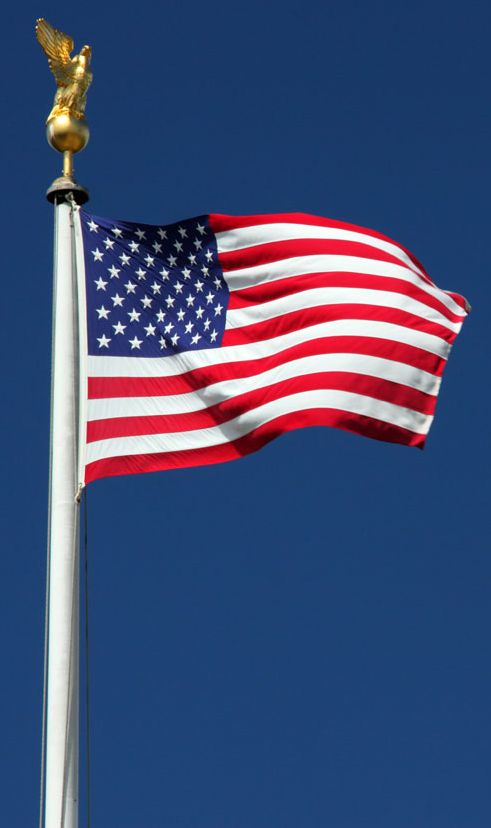 Should Americans Salute the American Flag? > TeamNetworks.Net