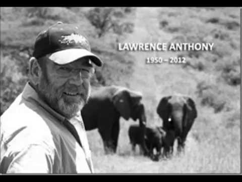 ELEPHANTS PAY RESPECT TO HUMBLE MAN!
