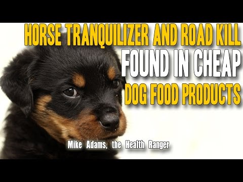 Horse tranquilizer and road kill found in cheap dog food products