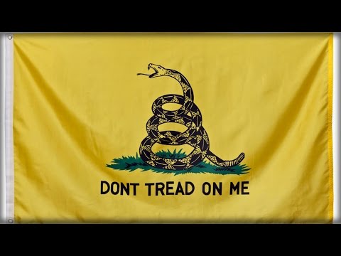 DISPLAY OF THE GADSDEN DON&#039;T TREAD ON ME FLAG NOW PUNISHABLE BY LAW AS HATE SPEECH