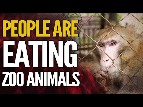 PEOPLE ARE EATING ZOO ANIMALS! Venezuela&#039;s Crisis Explained