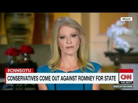 * Kellyanne Conway: &#039;Scope and Intensity&#039; against Mitt Romney selection &#039;Breathtaking&#039; * 11/27/16