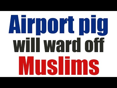 Airport installs pig greeter to ward off Muslims?