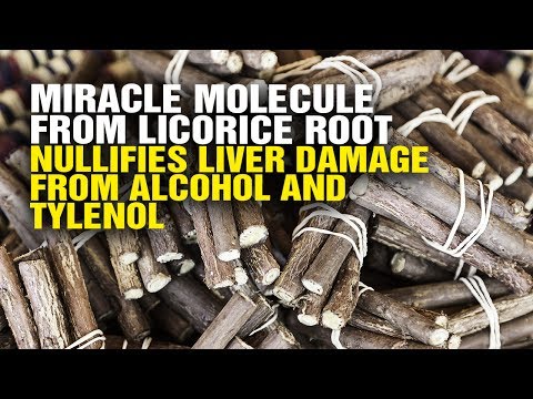 Miracle molecule from licorice root nullifies liver damage from alcohol and Tylenol