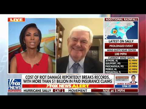 Newt Gingrich Names George Soros on Fox News and They Shut Him Down!