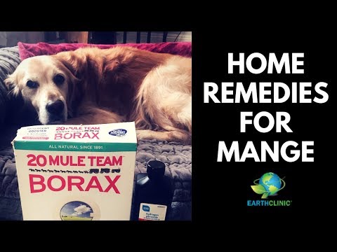 Home Remedies for Mange | Ted&#039;s Famous Borax for Mange Treatment