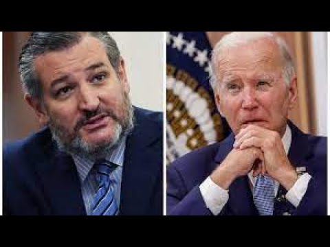 &#039;WHAT ID LAW IS RACIST &#039; Ted Cruz puts Biden&#039;s aide in HOT WATER with FIERY question - gets OVATION
